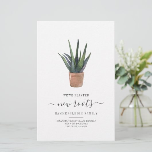 Wir haben die neue Roots Sukkulent Pflanze Budget  Briefpapier (Stehend Vorderseite)