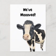 Wir haben die Postkarte verschoben