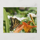 Wir haben die Postkarte verschoben (Vorderseite)