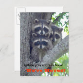 Wir haben die Postkarte verschoben (Raccoons in Ba (Vorne/Hinten)