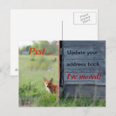 Wir haben die Postkarte verschoben (roter Fuchs in (Vorne/Hinten)