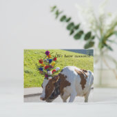Wir haben die Schweizer Kuh-Postkarte umgezogen Postkarte (Stehend Vorderseite)