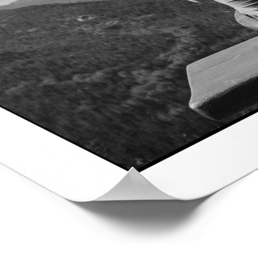 Wir haben diese Personalisierte Geschenkzeitung Go Poster (Ecke)