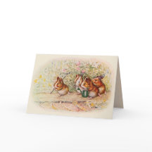 Wir haben eine kleine Guinea Schweine, die grüßen