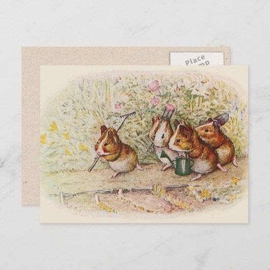 Wir haben eine kleine Guinea Schweine Song Postkarte (Vorne/Hinten)