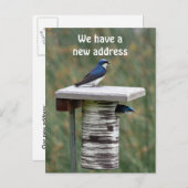 Wir haben eine neue Adresse Ankündigungspostkarte (Vorne/Hinten)