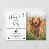 Wir haben eine neue Ankündigung von Haustieren Ado (Vorderseite)