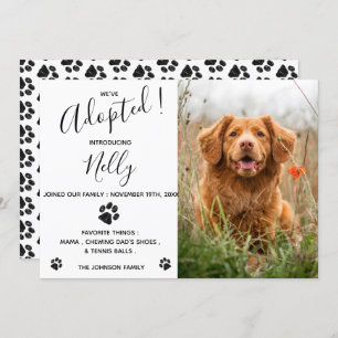 Wir haben eine neue Ankündigung von Haustieren Ado