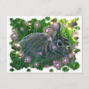 Wir haben einen Party-Bunny Postkarte