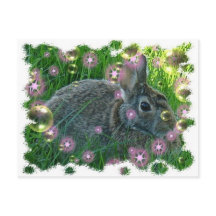 Wir haben einen Party-Bunny