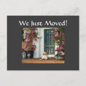 WIR HABEN EINFACH EINEN AUFENTHALT FÜR DIE BEWEGUN EINLADUNGSPOSTKARTE (Vorderseite)