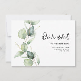 Wir haben Eukalyptus-Bewegung angekündigt