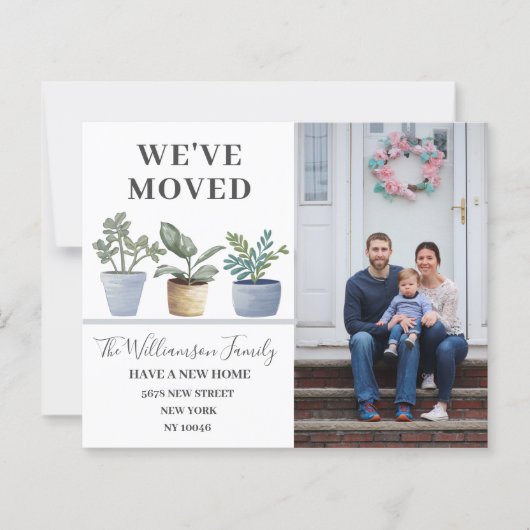 Wir haben gepottete Pflanze Dusty Blue Ankündigung (Vorderseite)