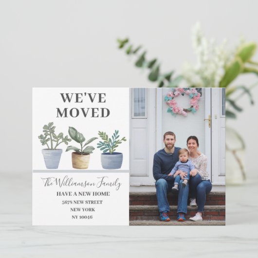 Wir haben gepottete Pflanze Dusty Blue Ankündigung (Stehend Vorderseite)