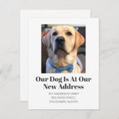 Wir haben Golden Retriever Pet Dog Moving Ankündigung (Vorne/Hinten)