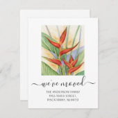 Wir haben Heliconia-Schriftzeichen übertragen Ankündigung (Vorne/Hinten)