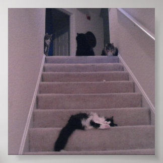 Wir haben ihn nicht gedrängt! poster