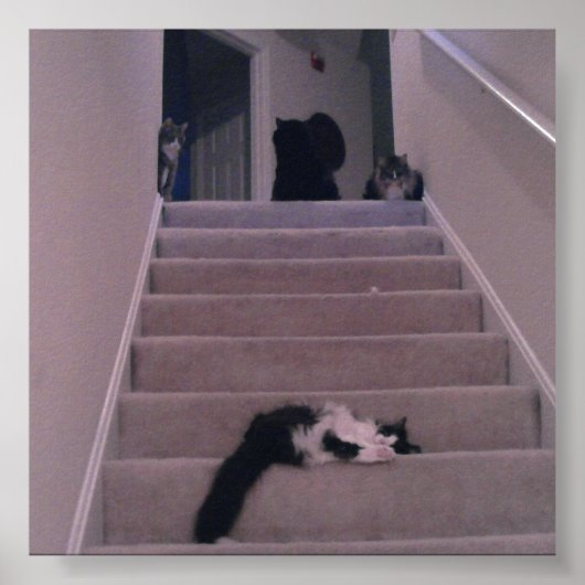 Wir haben ihn nicht gedrängt! poster (Vorne)