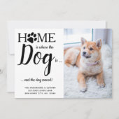 Wir haben mein Hund und ich Foto-Haustier bewegt Ankündigung (Vorderseite)