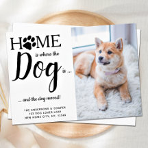 Wir haben mein Hund und ich Foto-Haustier bewegt