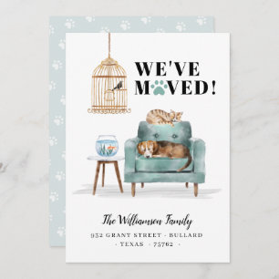 Wir haben neue Zuhause Hunde & Katzen Schlafen Grü Ankündigung