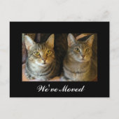 Wir haben New Zuhause Cats Foto Schwarz-weiß versc Ankündigungspostkarte (Vorderseite)