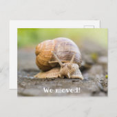 Wir haben Postkarte mit Schnecke umgezogen (Vorne/Hinten)