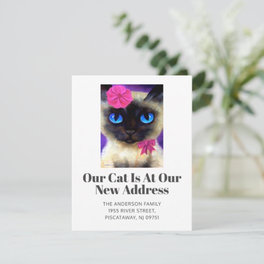 Wir haben Siam Cat Pet neue Zuhause-Script verscho Ankündigung (Stehend Vorderseite)