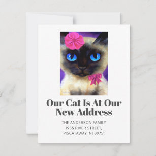 Wir haben Siam Cat Pet neue Zuhause-Script verscho Ankündigung