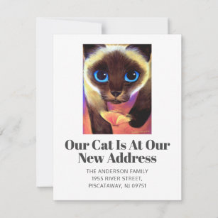 Wir haben Siam Cat Pet Script verschoben Neue Zuha Ankündigung