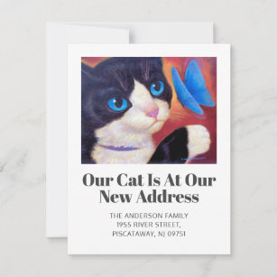 Wir haben Tuxedo Cat Pet neue Zuhause Script Movin Ankündigung