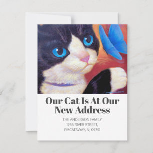 Wir haben Tuxedo Cat Pet neuen Zuhause-Script-Text Ankündigung