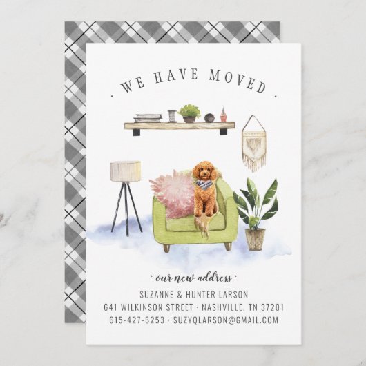 Wir haben uns bewegt | Ankündigung von Cavapoo Boh (Vorne/Hinten)