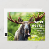 Wir haben uns bewegt | Farbige Ankündigung zur Elc Postkarte (Vorne/Hinten)