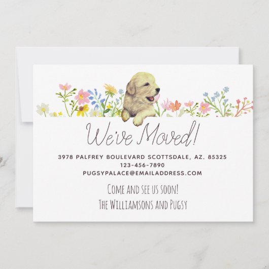 Wir haben uns bewegt! Golden Retriever Welppy Ankü Ankündigung (Vorderseite)