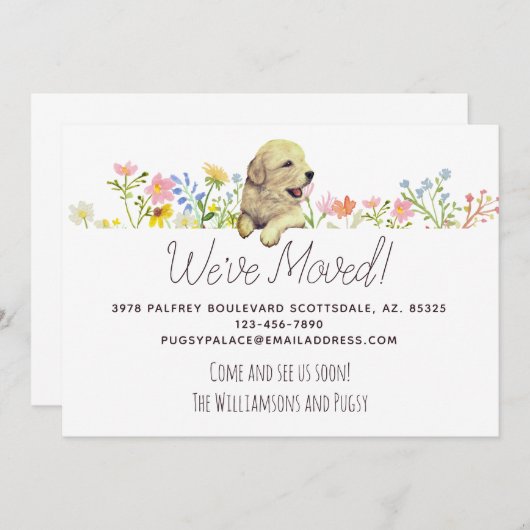 Wir haben uns bewegt! Golden Retriever Welppy Ankü Ankündigung (Vorne/Hinten)