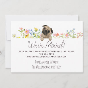 Wir haben uns bewegt! Mops und Blume Neue Adresse Ankündigung