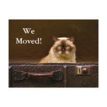 Wir haben uns bewegt! Neuer Adressmeldungskatze im