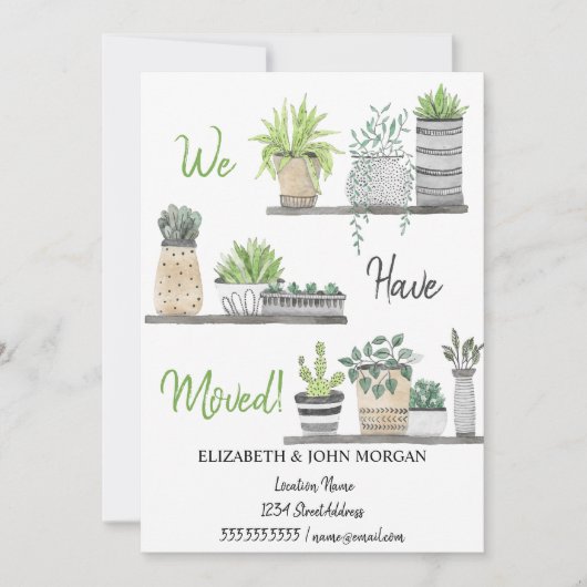 Wir haben uns bewegt, Pflanze, Regale (Vorderseite)