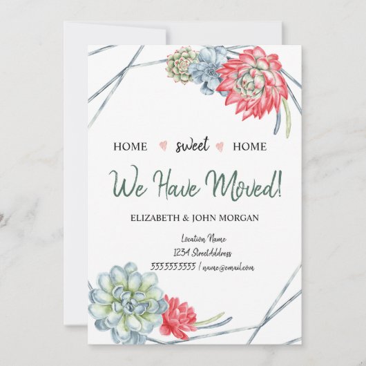 Wir haben uns bewegt, Wüstenkakteen, rote Sukkulen (Vorderseite)