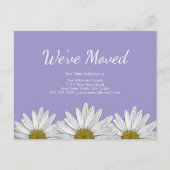 Wir haben White Daisies Lavender Lila Ankündigungspostkarte (Vorderseite)