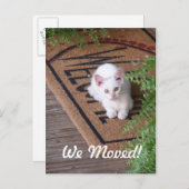 Wir haben White Kitten bewegt Ankündigungspostkarte (Vorne/Hinten)