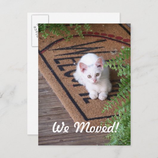 Wir haben White Kitten bewegt Ankündigungspostkarte (Vorne/Hinten)