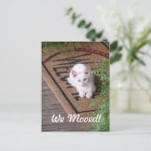 Wir haben White Kitten bewegt Ankündigungspostkarte (Stehend Vorderseite)