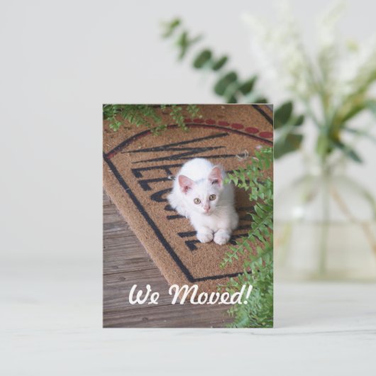 Wir haben White Kitten bewegt Ankündigungspostkarte (Stehend Vorderseite)