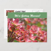 Wir heiraten! Postkarten Save the Date (Vorne/Hinten)