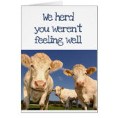 Wir Herd, du warst nicht Gefühl Spaß Kuh Spaß (Vorne)