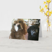 WIR HÖREN NUR DIE NACHRICHTENKARTE KARTE (Gelbe Blume)