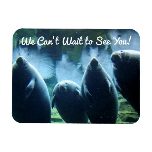 Wir können nicht warten, dich zu sehen! Manatees Magnet (Horizontal)