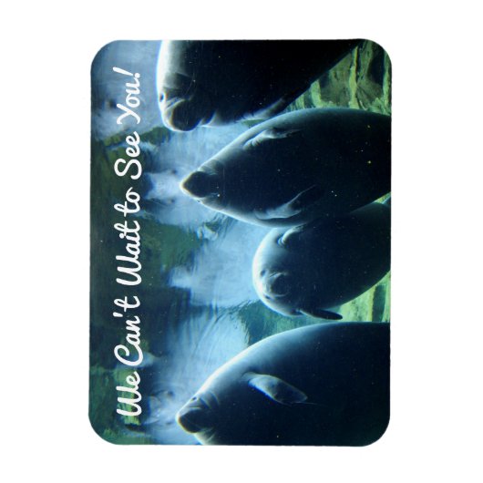 Wir können nicht warten, dich zu sehen! Manatees Magnet (Vertikal)